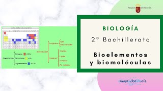 BIOELEMENTOS Y BIOMOLÉCULAS [upl. by Epul693]