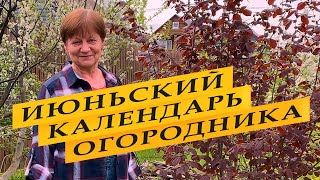 Лунный посевной календарь огородника на июнь 2022 года [upl. by Alidis557]