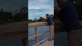 Dock flip fail redfish fail [upl. by Aicilec]