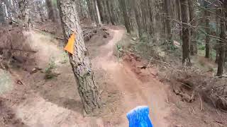 Amberley trailride yz250fx yz125x yz250fx mint day out missed the turn off [upl. by Burr]