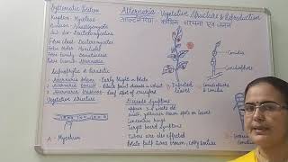 Alternaria Vegetative Structure and Reproduction BSc Part I Dr Vinod Kumari [upl. by Itsyrk]