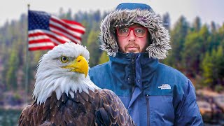 Lets Talk About Americas Iconic Bald Eagle [upl. by Leffert]