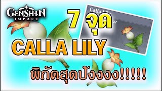 7 พิกัดสำคัญ จุดเก็บ Calla Lily [upl. by Callista]