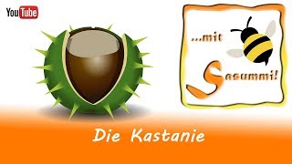 Fingerspiele Singen mit Sasummi  Die Kastanie [upl. by Aggappora]