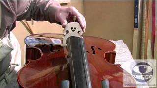 How to Set Up a Student Cello Correctly [upl. by Allcot]