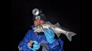 Surf Fishing Anglesey North Wales [upl. by Ahrendt]