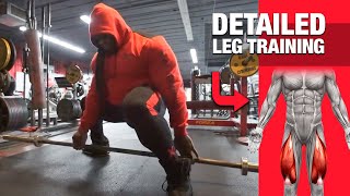 DETAILED LEG TRAINING [upl. by Alasteir]