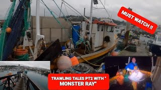 UK commercial Trawling pt2 MASSIVE RAY other species iuk trawling fishing crab boat seafood [upl. by Ecerahc]