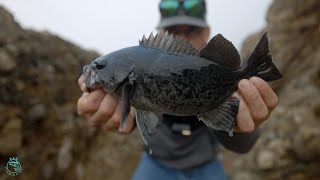 Fishing for Rockfish on the California Coast [upl. by Ettebab]