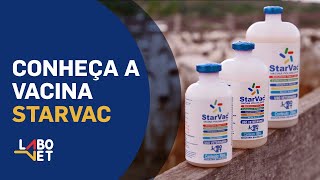 Conheça a Vacina STARVAC  Labovet Produtos Veterinários [upl. by Melton]