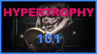 HYPERTROPHY 101  Myofibrillar vs Sarcoplasmic Hypertrophy  Hypertrophy MuscleGain Bodybuilding [upl. by Firooc]