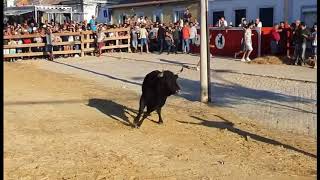 ALCOCHETE  2018  FESTAS DO BARRETE VERDE E DAS SALINAS 2018 [upl. by Henderson]