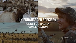 UNENDANGERED SPECIES® Wildlife amp Habitat Conservation  NSSForg [upl. by Abby]