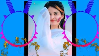 Honge Tere Bade Chahne Wale Aashiq aisa kaha💘 hindi dj Song💕dj anupam rai official [upl. by Anek248]