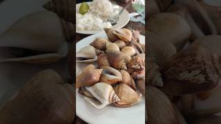 SUP IKAN TOM YAM SEAFOOD GONG GONG YONGKEE BATAM makanlibur travelblog musik batam [upl. by Araic]