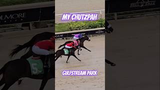 My Chutzpah winning race 7 back to back wins for Edwin González GulfstreamPark SunshineMeet [upl. by Emelun]