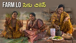 మన ల్యాండ్ లో సీకుల చికెన్😋 chicken youtube farmland subscribemychannel [upl. by Niltag979]