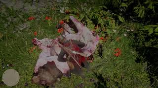 Red Dead Redemption Legendary Bear Skinning [upl. by Ardith]