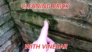 How To Clean Brick with Vinegar [upl. by Aisatna976]