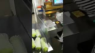 Vegetables Cling film sealing wrapping machine semiauto food fresh wrapper equipment [upl. by Hong]