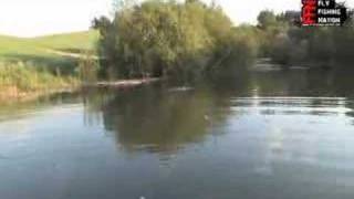 Flyfishing Insomniacs  GlommaRena River [upl. by Imelda470]