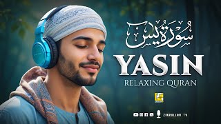 Surah Yasin Yaseen سورة يس  Relaxing heart touching Angelic voice  Zikrullah TV [upl. by Spring]