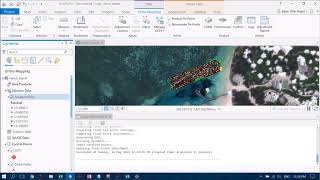 Creating Orthomosaics in ArcGIS Pro with Drone Imagery [upl. by Brozak260]