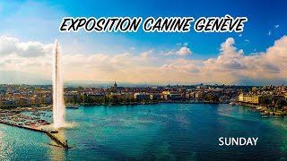 Exposition Canine Genève 2023  SUNDAY [upl. by Ettedualc]