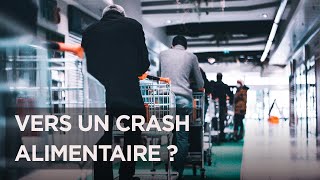 Pénuries Guerres Inflation  vers un crash alimentaire   Documentaire crise mondiale  ADN [upl. by Bryana]