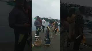 Kasimedu fish market🐠🐟Subscribe [upl. by Anircam202]