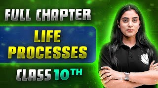 Life Processes FULL CHAPTER  Class 10th Science  Chapter 5  Udaan [upl. by Roxana]