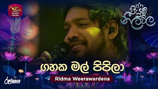 Gahaka Mal Pipila  ගහක මල් පිපිලා  Ridma Weerawardena  Piyum Neela Vila  Roo Tunes [upl. by Drwde]