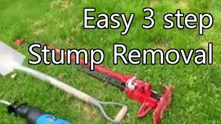 Tree Stump removal with 3 simple tools [upl. by Damahom]