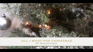 Clarendon School All I want for Christmas is you by Mariah Carey with Makaton signs [upl. by Manvell]