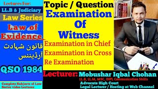 Examination of witness its types  law of evidence lectures urdu hindi  QSO lectures [upl. by Bottali]