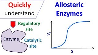 Allosteric enzymes [upl. by Ylek]