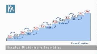 La escala cromática explicada en 7 minutos  Tonos y semitonos [upl. by Trygve]