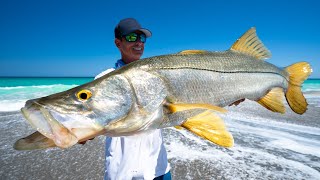 Floridas ILLEGAL FishCatch Clean Cook Snook Mullet Run [upl. by Trow]