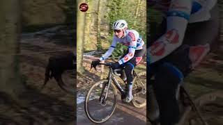 Michael Vanthourenhout Exact Cross Zonnebeke 2024 cyclocross [upl. by Kape]