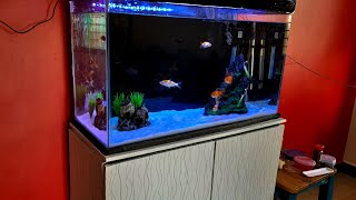 Japanese koi and Goldfish tank setup  Japanese koiOranda and Ranchu goldfish in 25 feet tank [upl. by Alyag]