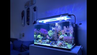 GERMAN REEF TANKS  no sump  350 liters saltwater aquarium aquarium reeftank tour [upl. by Ame]