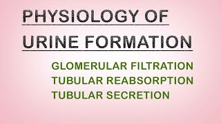 WinnersedutalkPhysiology of urine formation Urinary System part4 Biolectures Malayalam [upl. by Aicercul]