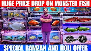 Huge Price Drop On Monster And Exotic Fish  Special Ramzan And Holi Offer  Asia Aquarium Kalyan [upl. by Aerol]