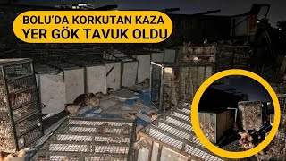 TAVUK YÜKLÜ KAMYONU DEVRİLDİ 1112024 [upl. by Jervis]