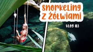 Meksyk  Cenote Cristalino Snorkeling z żółwiami blisko Playa del Carmen 🐢🤿🚐  vlog 3 [upl. by Annaet]