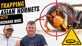 How To Trap And Kill Asian Hornet Queens  Yellow legged Hornet [upl. by Lorilyn]