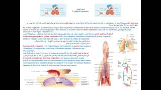 الجهاز التنفسي Lappareil respiratoire [upl. by Noble]