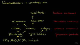 284  Voedselketen en voedselweb [upl. by Aurelea]