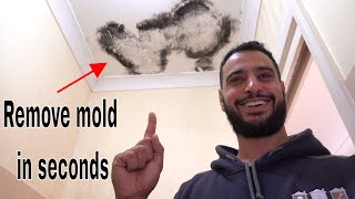 How to remove and kill mold  mould [upl. by Serrell]