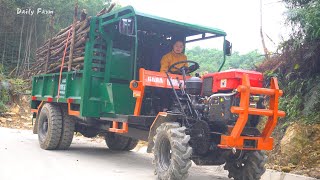 Sell Old Trucks and Buy New Trucks To Work More Efficiently Transporting firewood  Daily Farm [upl. by Carrnan]